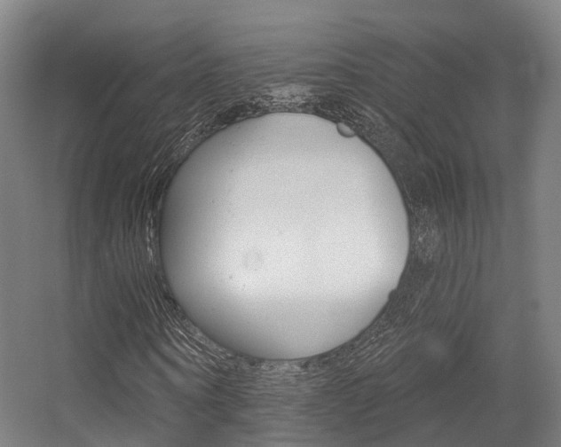 X0000056310866200508260822
