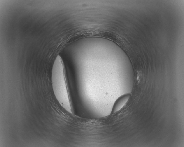 X0000056310867200508260822