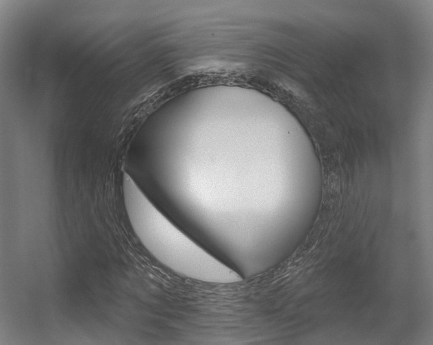 X0000056310869200508260822