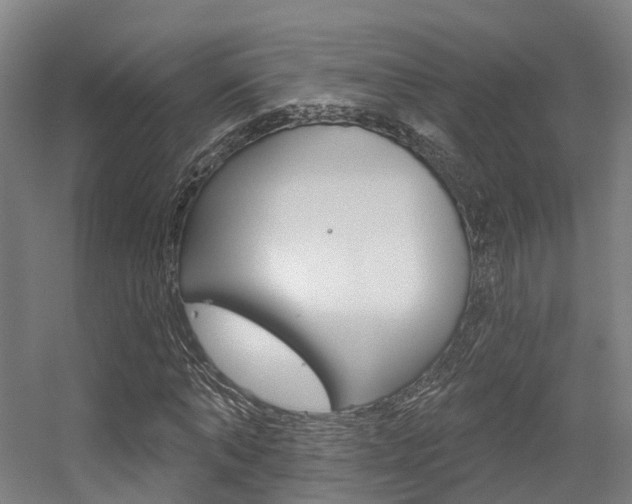 X0000056310870200508260822