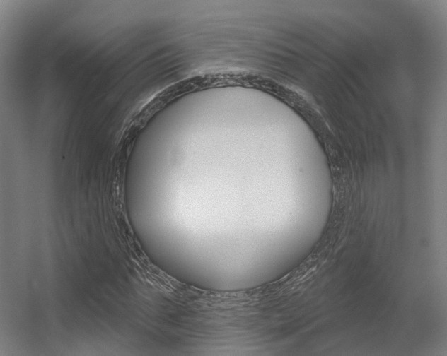 X0000056310871200508260822