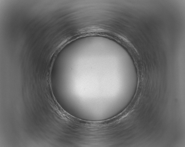 X0000056310873200508260822