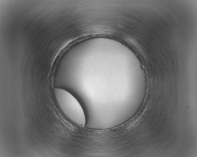 X0000056310875200508260822