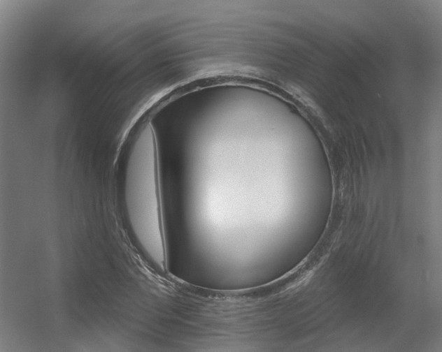 X0000056310877200508260822
