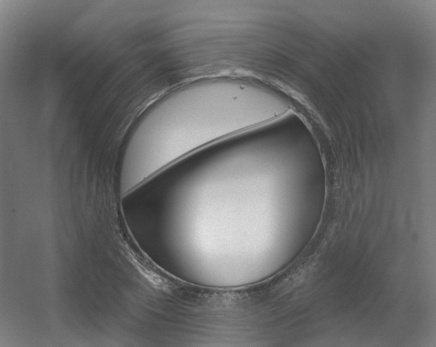 X0000056310881200508260822