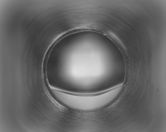 X0000056310884200508260822
