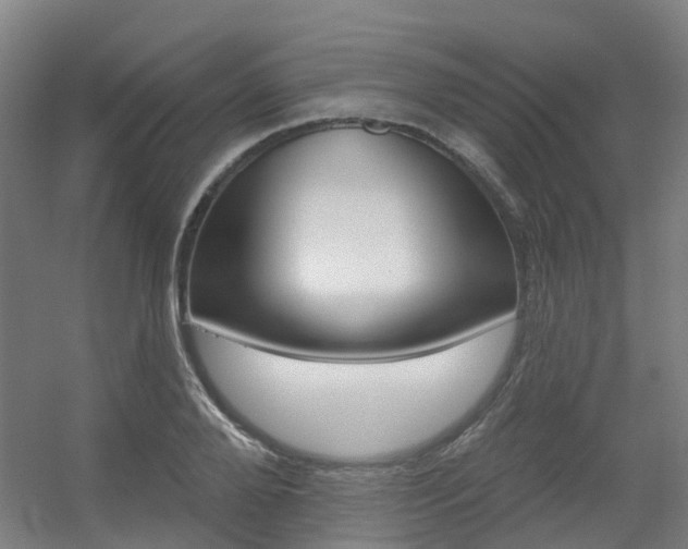 X0000056310888200508260822