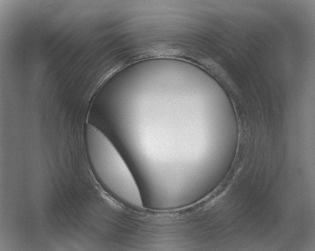 X0000056310889200508260822
