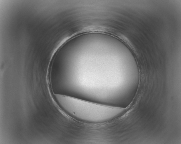 X0000056310893200508260822
