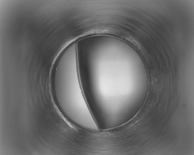 X0000056310894200508260822