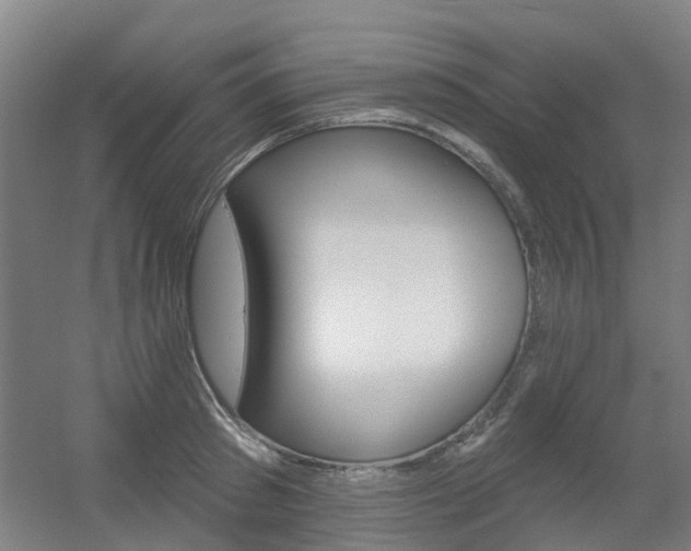 X0000056310897200508260822