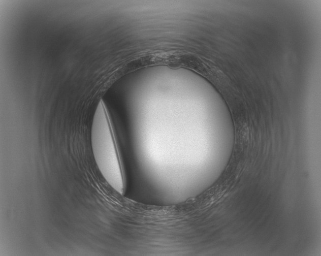X0000056310914200508260821