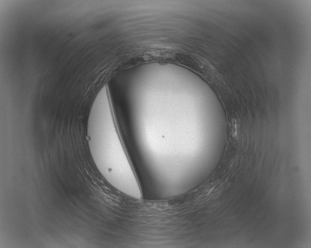 X0000056310915200508260821
