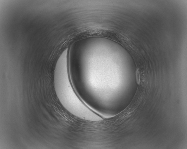 X0000056310916200508260821