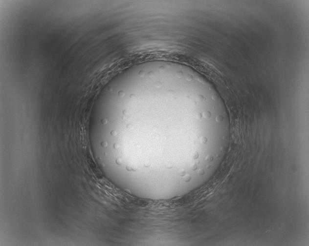 X0000056310917200508260821
