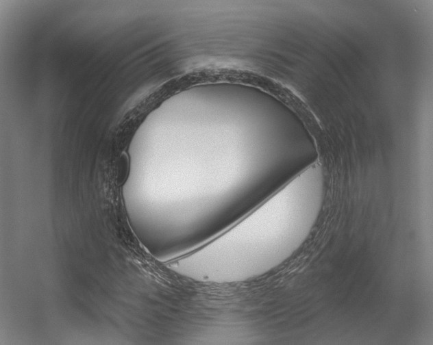 X0000056310919200508260821
