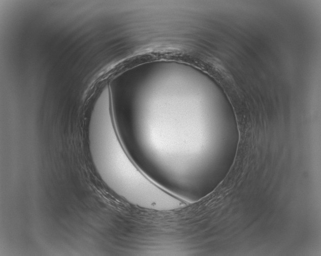 X0000056310920200508260821