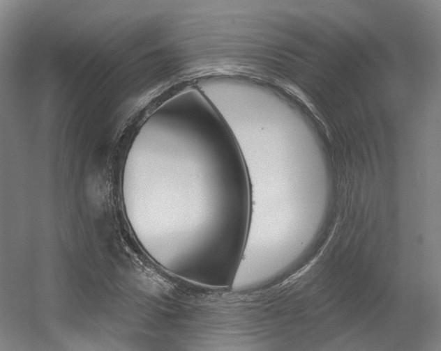 X0000056310922200508260821