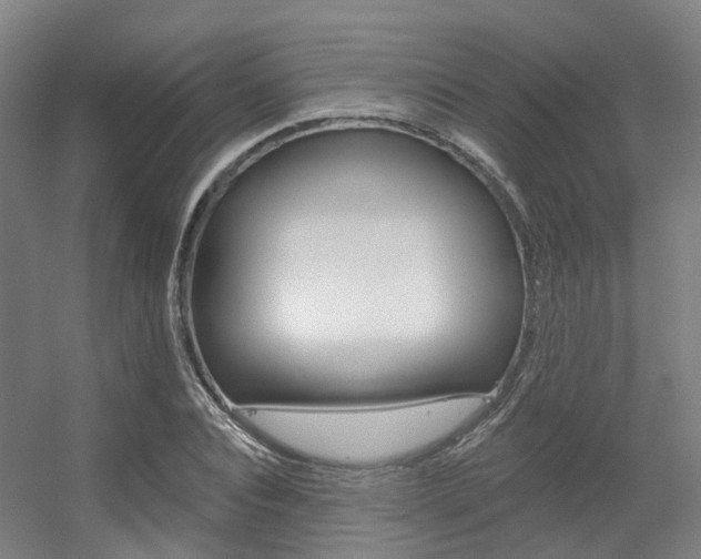 X0000056310928200508260821