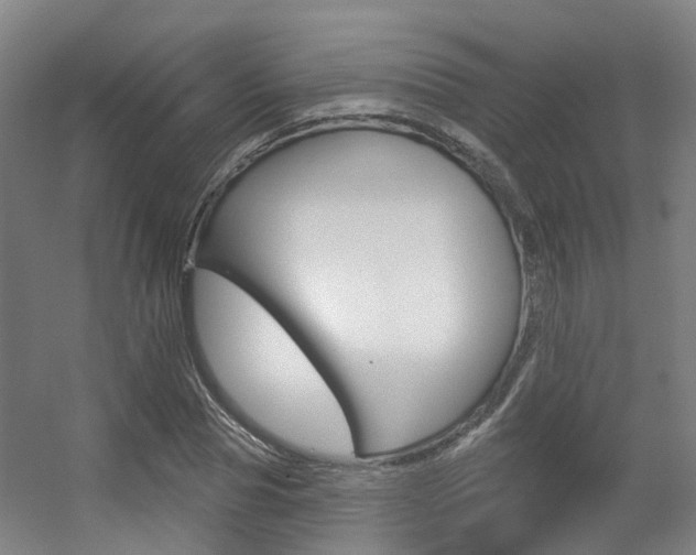 X0000056310929200508260821