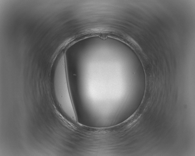X0000056310930200508260821