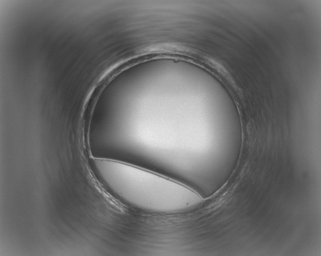 X0000056310931200508260821