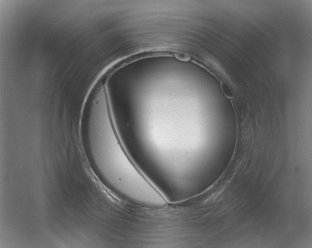 X0000056310932200508260821
