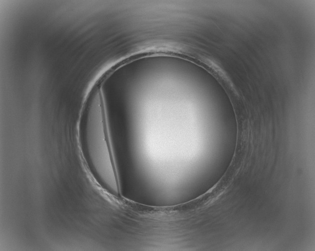 X0000056310936200508260821