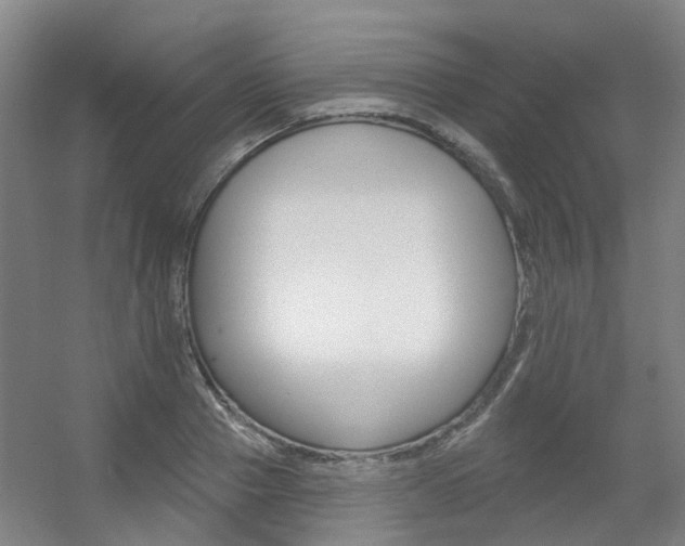 X0000056310937200508260821