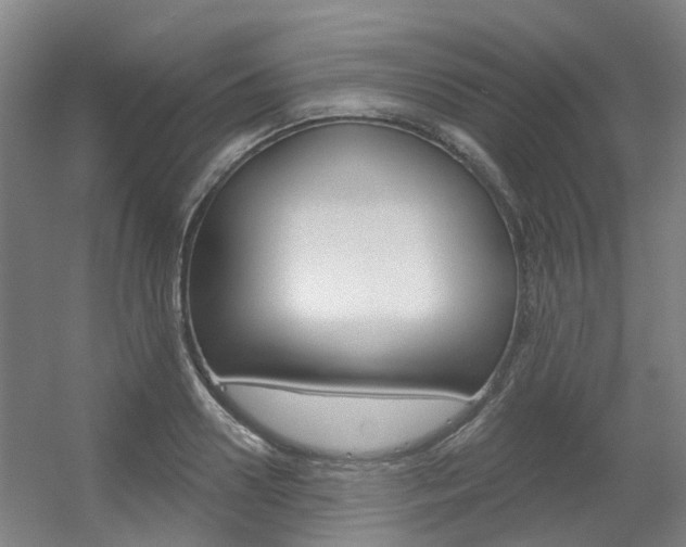 X0000056310938200508260821