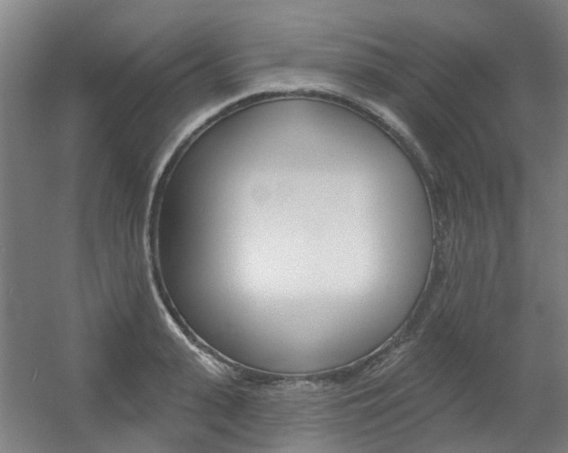 X0000056310943200508260821