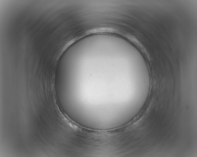 X0000056310945200508260821