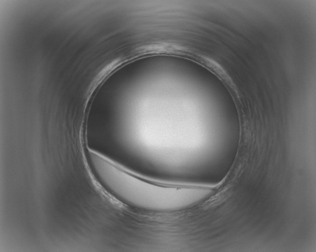 X0000056310946200508260821