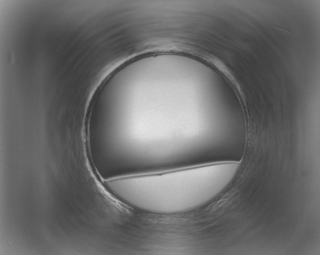 X0000056310951200508260821