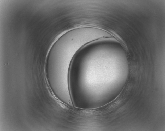 X0000056310956200508260821