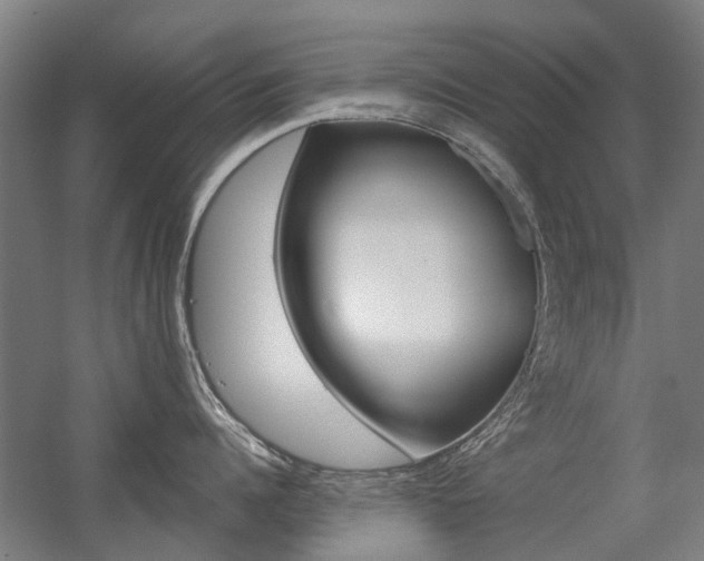 X0000056310960200508260821