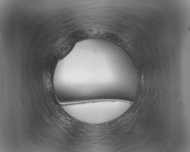 X0000056310963200508260820