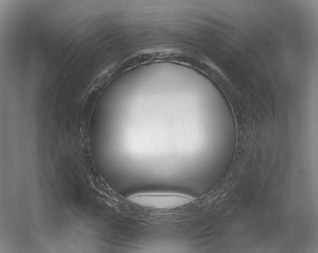 X0000056310967200508260820
