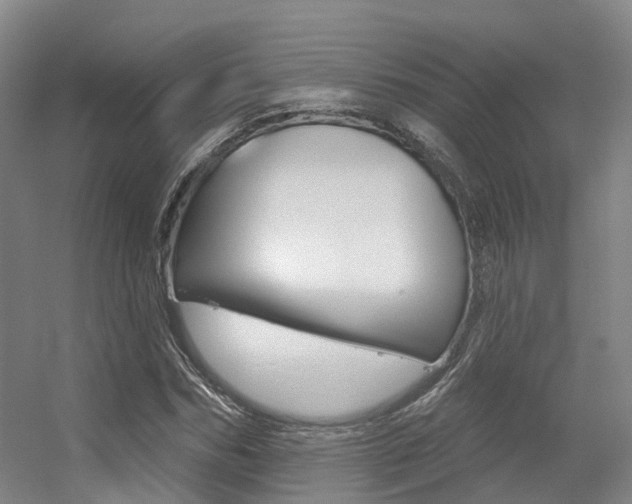 X0000056310970200508260820