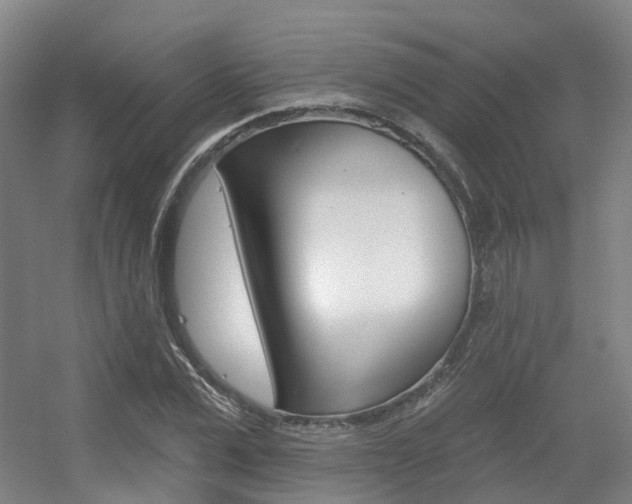 X0000056310975200508260820