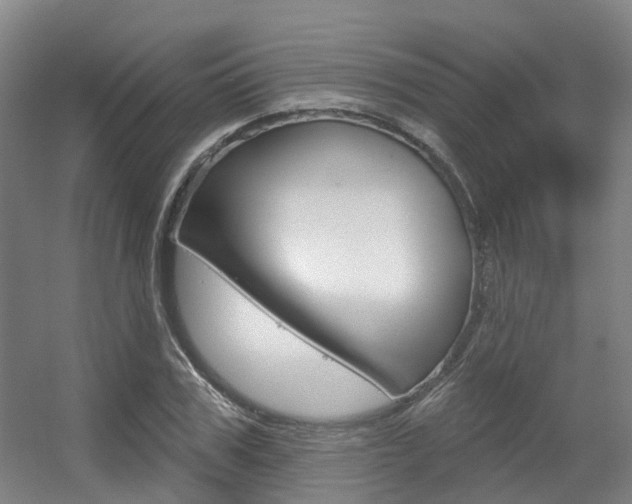X0000056310979200508260820