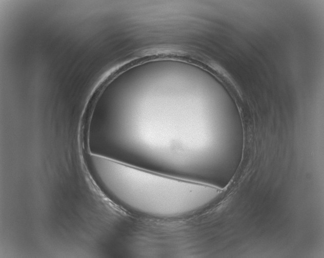 X0000056310983200508260820