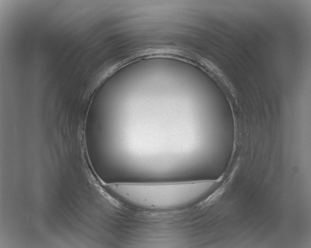 X0000056310985200508260820