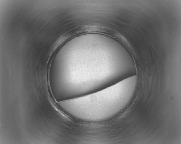 X0000056310986200508260820