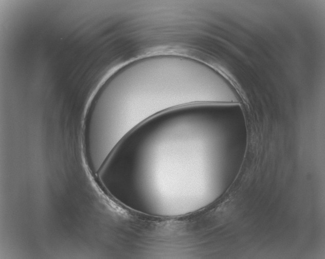 X0000056310992200508260820