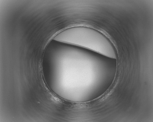 X0000056310993200508260820