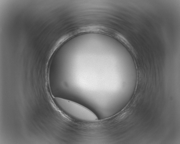X0000056310994200508260820