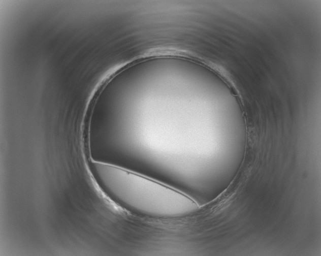 X0000056310995200508260820