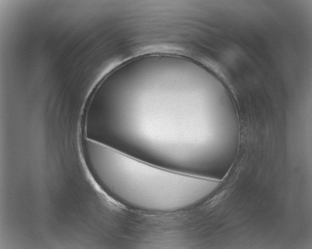 X0000056310999200508260820