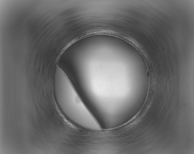 X0000056311001200508260820
